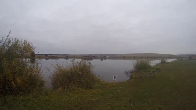 Карп. Рыбалка в Светлом ключе. Самара. Samara. Carp. смотреть онлайн