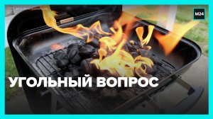Как выбрать уголь для мангала? – Москва 24