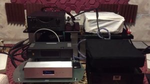 Shengya A28 + Sartorial audio coaxial