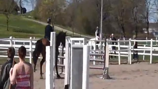 Clear round 1 m 1 Maj 2012 смотреть онлайн