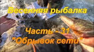 Весенняя рыбалка. Часть - 31 "Обрывок сети".