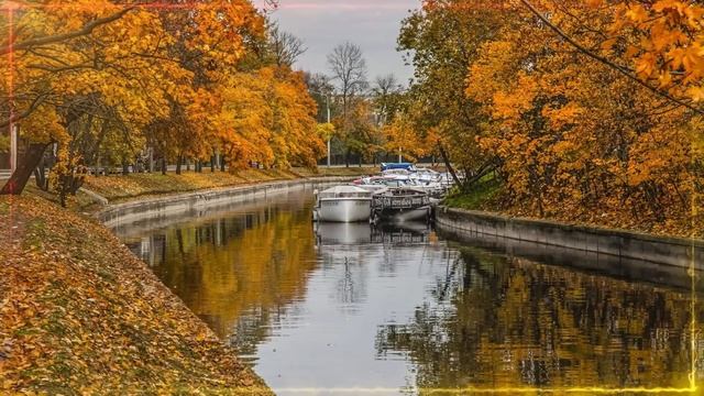 ЗОЛОТАЯ ОСЕНЬ ✬ ДУШЕВНЫЕ ОСЕННИЕ ПЕСНИ ✬ смотреть онлайн