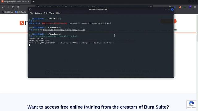 how to install burp suite on kali linux смотреть онлайн