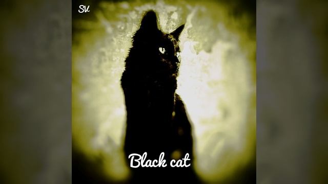 Black Cat смотреть онлайн