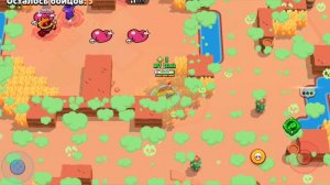 ПУШ КУБКОВ БЮ РЕКОРД НУЛС БРАВЛ