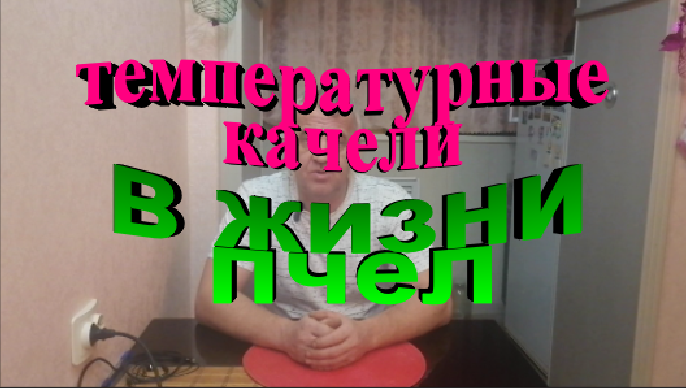 Как отражаются на пчелах температурные качели смотреть онлайн