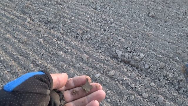 Испытываю новый металлоискатель GARRETT ACE APEX! Коп в поле, в лесу, на пляже Кладоискатель Руся. смотреть онлайн