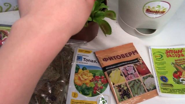 Купить Хищные растения Комбо набор №3 смотреть онлайн