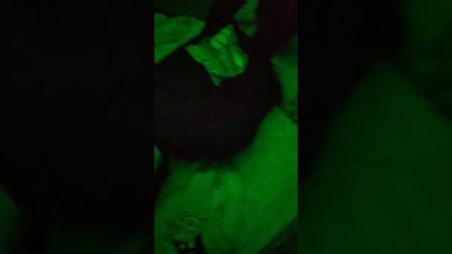 лайфхак как разбудить друга когда он непросыпается смотреть онлайн