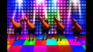 CRAZY CHICKEN || CHICKEN DANCE & CHICKEN SONG || Ep-1