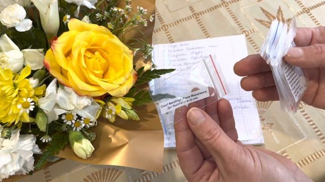 Коллекция томатов dwarf из серии гном томатный на сезон 2023. смотреть онлайн