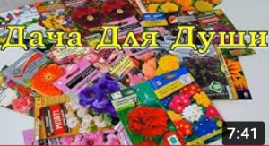 Эти ЦВЕТЫ сеем в МАРТЕ на рассаду ⚘?⚘?⚘?