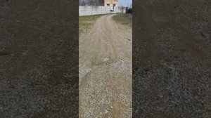 С праздником дорогие женщины