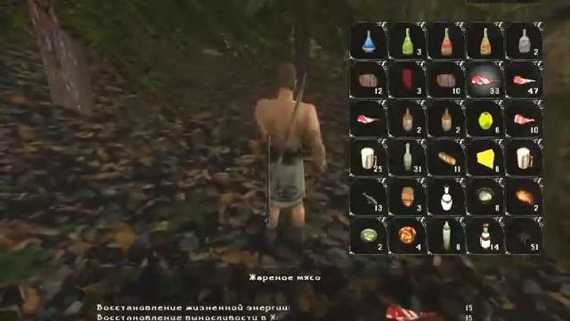 Gothic2 Slash'n Craft v1 1 F2 ОПЫТ и 200 животных 1 смотреть онлайн