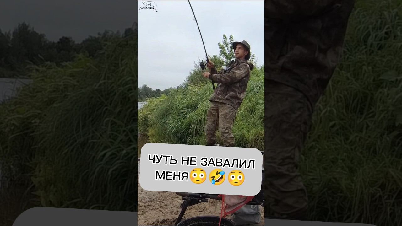 ЛОВИЛИ ТАКИХ? ХОРОШИЙ ЭКЗЕМПЛЯР #рек #fishing #рекомендации #шортс #карп #рыба #carp смотреть онлайн