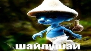 ШАЙЛУШАЙ 1 ЧАС