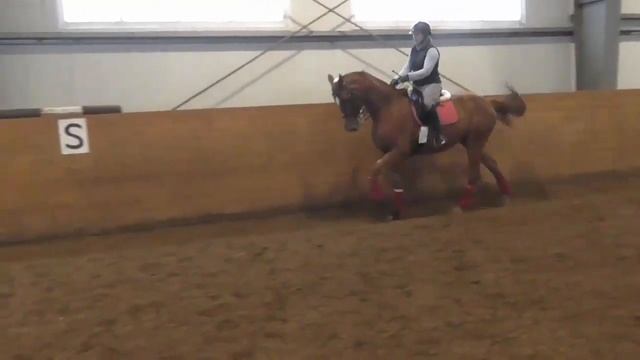 Принимание на лошади галопом смотреть онлайн