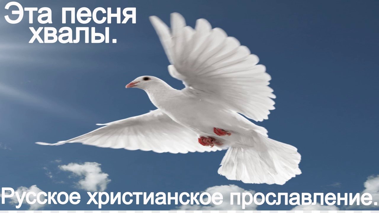 Эта песня хвалы.(Со словами.)Прославление. смотреть онлайн