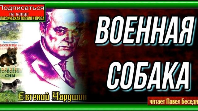 Военная собака —Евгений Чарушин— читает Павел Беседин смотреть онлайн