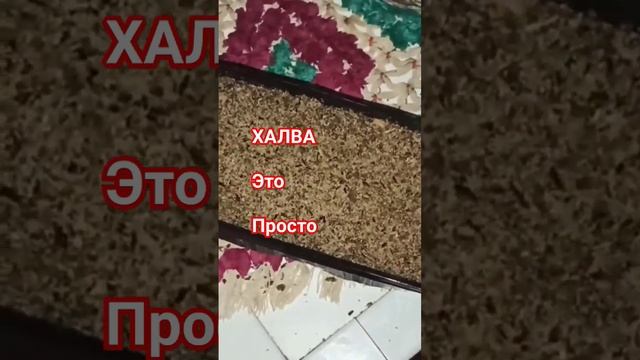 Халва Дома!!! #Халвапростойрецепт #халварецепт #рецептхалвы #вкукснаяхалва #халвабыстро #халвапрост смотреть онлайн