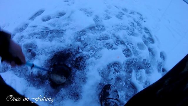 Рыбалка Судак на Ставку Зима Лед 2018 Беларусь Минское море Fishing Zander смотреть онлайн