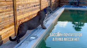 Ура бассейн