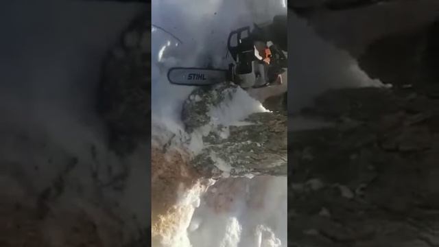 Гибридная бензопила. "Дружба"+" Штиль" смотреть онлайн