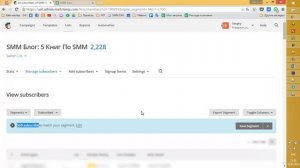 Сегментация листа рассылки в Mailchimp