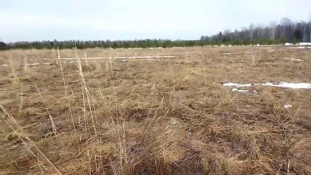 ЧЕМ МОЛОЖЕ КОПАТЕЛЬ ТЕМ СТАРШЕ МОНЕТЫ СОХРАН РАДУЕТ КОП ПО СТАРИНЕ смотреть онлайн