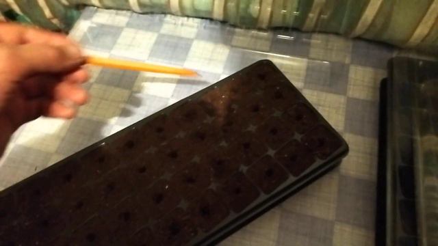 Перец на рассаду смотреть онлайн