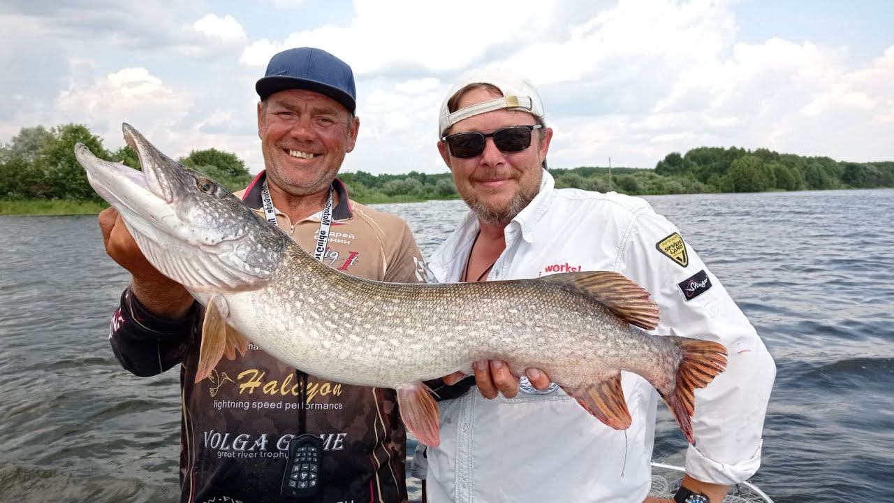 Пять видов рыб в июльскую жару. ЖЕРЕХ, СУДАК, ОКУНЬ, БЕРШ и ЩУКА со дна на джиговую проводку смотреть онлайн