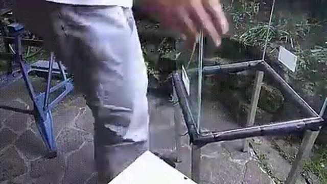 аквариум на даче смотреть онлайн