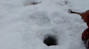 рыбалка на озере чаны , килограммовые язи и окунь