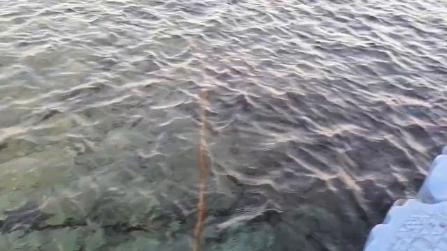 ЕГИПЕТ Шарм-Эль-Шейх отель QUEEN SHARM Resort 4*  Эконом отдых, территория пляжа, понтон, рыбки