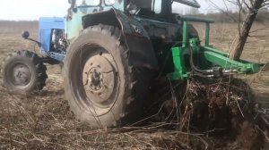 МТЗ 80 с Корчевателем крокодил в деле!МТЗ 80 спокойно корчует!апрель 2023