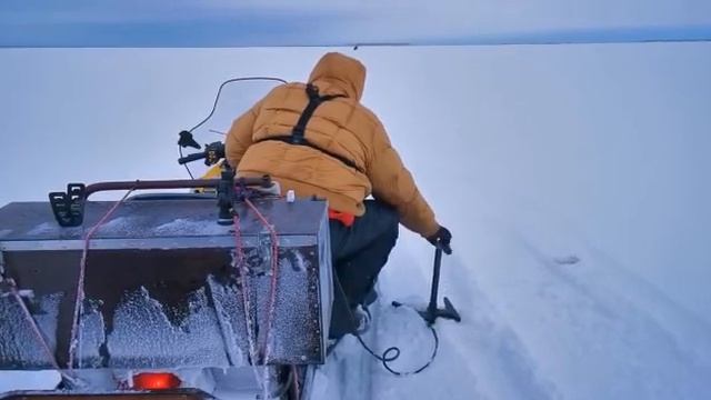 Ищем судака при помощи live scope. смотреть онлайн