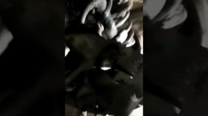 Toyota Avensis III T27 - как задавить шток заднего суппорта.