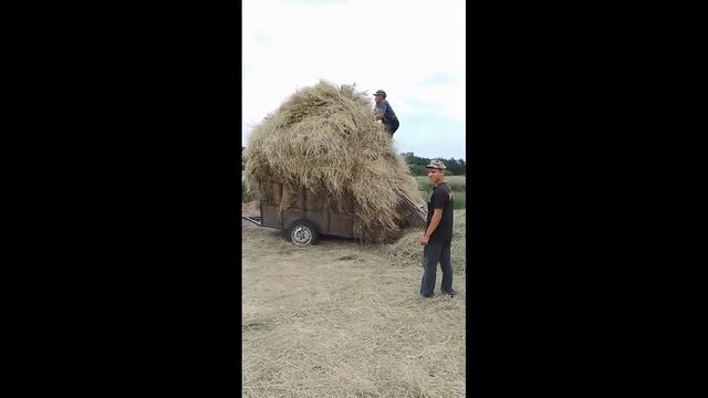 Перевозим сено с сыном на самодельном прицепе а/м Дэу Нексия. смотреть онлайн