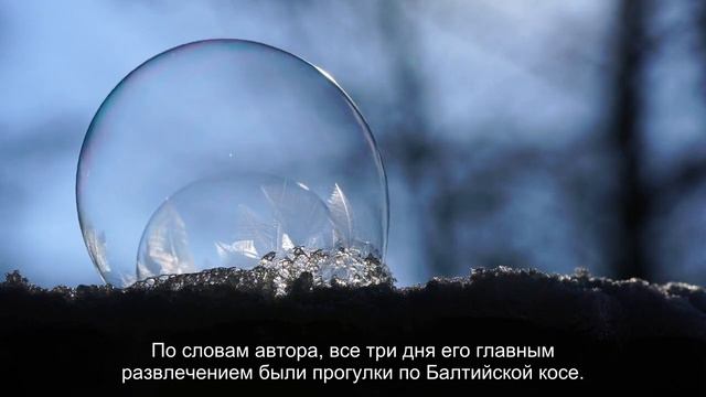 Россиянин спонтанно отдохнул в Калининграде и удивился расходам