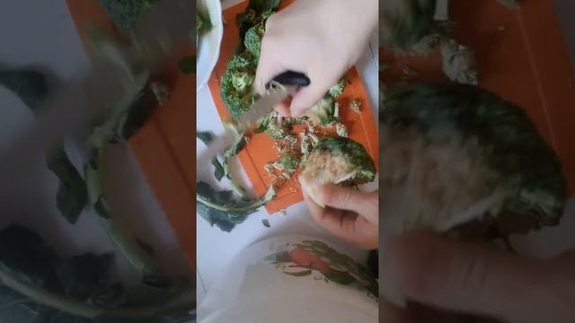 Суп из брокколи, по новому?.Broccoli soup, very, delicious смотреть онлайн