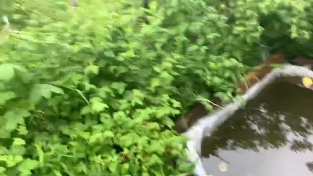 ЛУЧШИЙ АНЕКДОТ ПРО ПАПУ В ПЛАВКАХ И МАЛЕНЬКУЮ ХИТРУЮ ДЕВОЧКУ))))))/ ЮМОР/ СМЕХ/ ПРИКОЛЫ смотреть онлайн