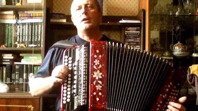 шумят вербы