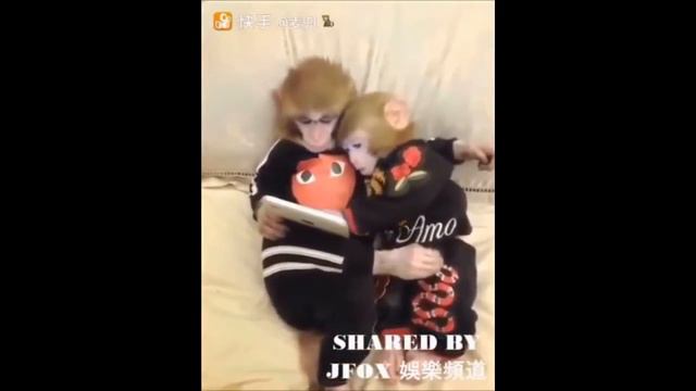 Обезьяны тоже люди смотреть онлайн