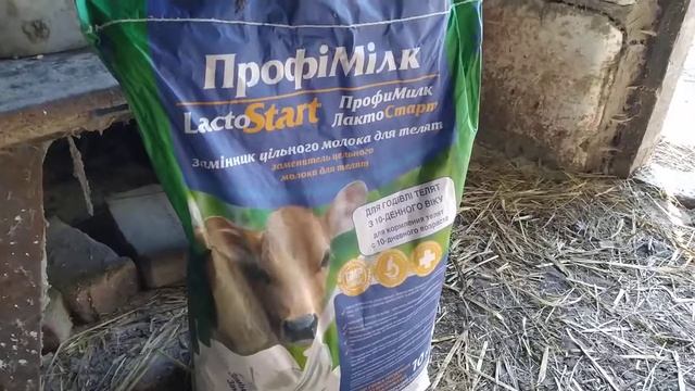 откорм бычка с нуля.(мой первый опыт) смотреть онлайн