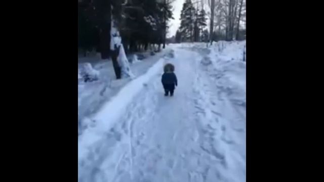 Откуда взялись пельмени и как они пропадают Видео Приколы 2022 смотреть онлайн