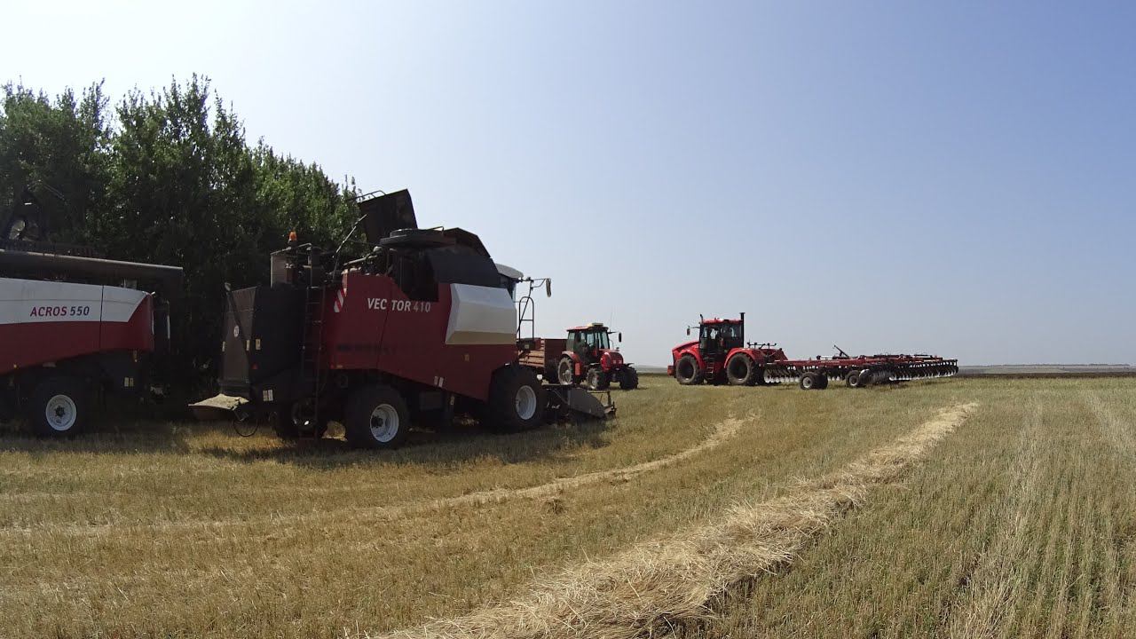 К 742 МСт. Комбайны ACROS 550 и VECTOR 410. Валим стерню за комбайноми!(Сезон 2021) смотреть онлайн