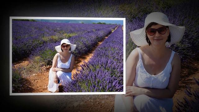 Лавандовые поля Прованса Champ de lavande смотреть онлайн