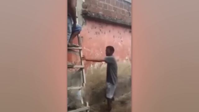 Most Ridiculous Workers Mistakes Caught On Camera смотреть онлайн