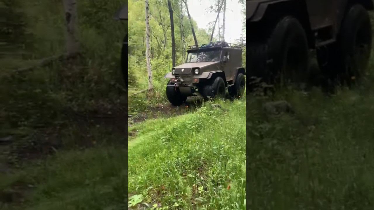 в тайге смотреть онлайн