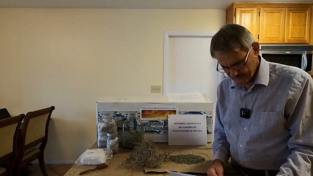"SECRET GOLD" In Desert Plants: Uncovering the Medicinal Power of Arid Regions смотреть онлайн